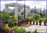 Top_Garden